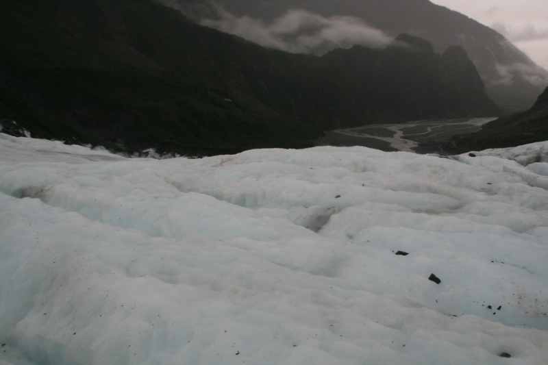 Nieuw-Zeeland 2011 - 1452
